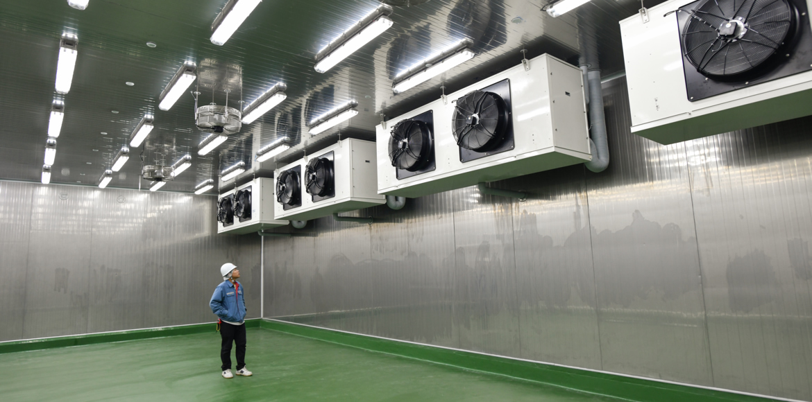 Cadena de Frío: La mayor eficiencia con los menores costes de energía