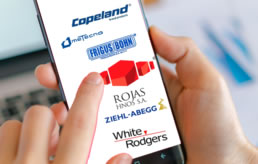 Representante Autorizado